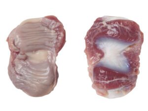 Frozen Boneless Chicken Thigh Kakugiri